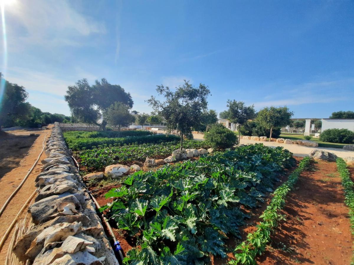 Masseria Ayroldi Ostuni Eksteriør billede